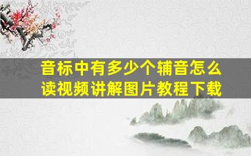 音标中有多少个辅音怎么读视频讲解图片教程下载