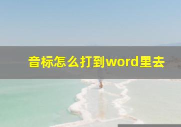 音标怎么打到word里去