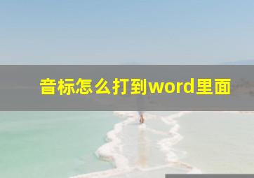 音标怎么打到word里面