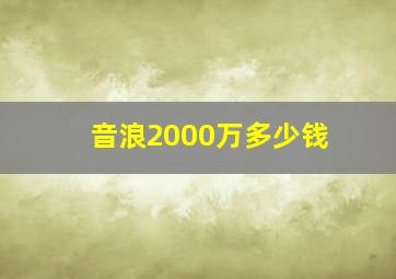 音浪2000万多少钱