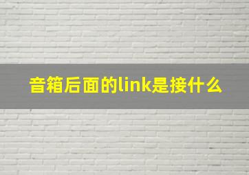 音箱后面的link是接什么