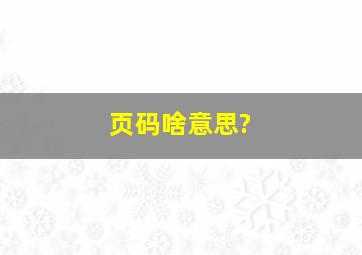 页码啥意思?