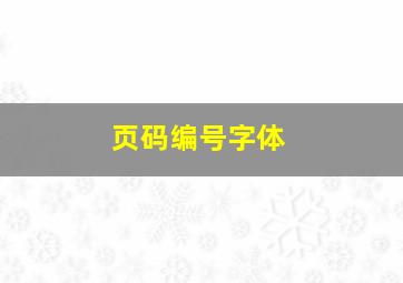 页码编号字体