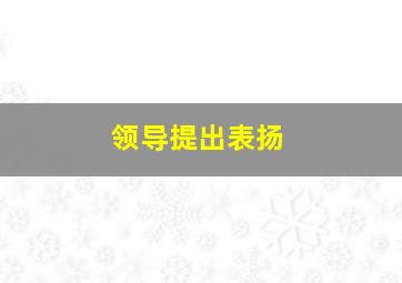 领导提出表扬