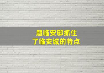 题临安邸抓住了临安城的特点