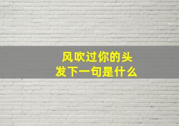 风吹过你的头发下一句是什么