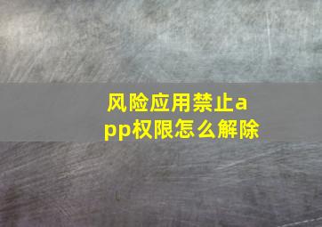 风险应用禁止app权限怎么解除