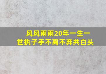 风风雨雨20年一生一世执子手不离不弃共白头