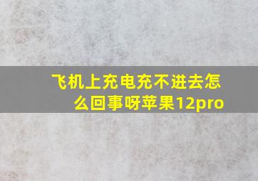 飞机上充电充不进去怎么回事呀苹果12pro