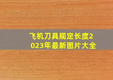 飞机刀具规定长度2023年最新图片大全