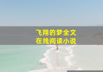 飞翔的梦全文在线阅读小说