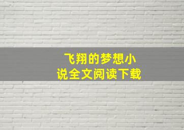 飞翔的梦想小说全文阅读下载