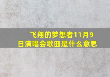 飞翔的梦想者11月9日演唱会歌曲是什么意思