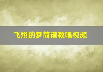 飞翔的梦简谱教唱视频