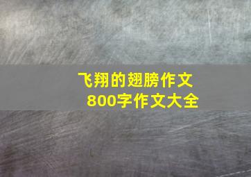 飞翔的翅膀作文800字作文大全