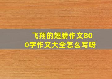 飞翔的翅膀作文800字作文大全怎么写呀