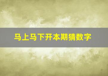 马上马下开本期猜数字