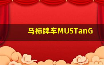 马标牌车MUSTanG