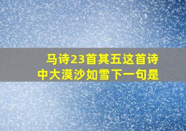 马诗23首其五这首诗中大漠沙如雪下一句是