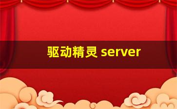 驱动精灵 server