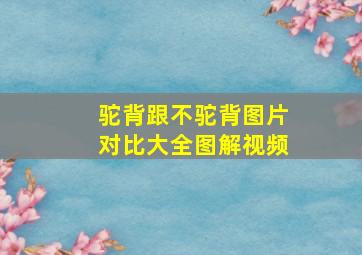 驼背跟不驼背图片对比大全图解视频