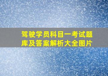 驾驶学员科目一考试题库及答案解析大全图片