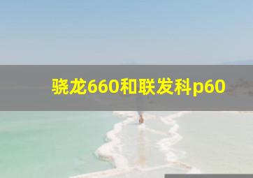 骁龙660和联发科p60