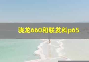 骁龙660和联发科p65