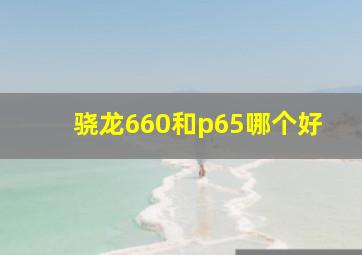 骁龙660和p65哪个好