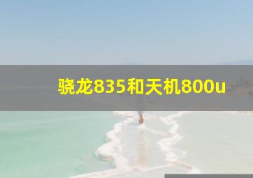 骁龙835和天机800u