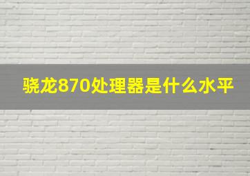 骁龙870处理器是什么水平