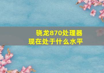 骁龙870处理器现在处于什么水平