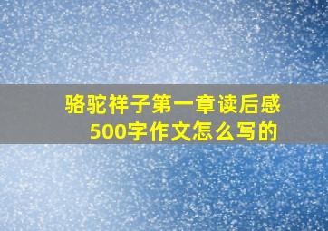 骆驼祥子第一章读后感500字作文怎么写的