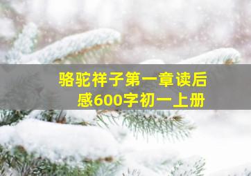 骆驼祥子第一章读后感600字初一上册