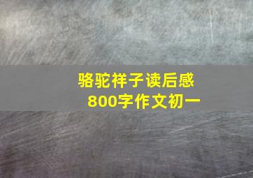 骆驼祥子读后感800字作文初一