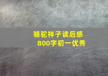 骆驼祥子读后感800字初一优秀