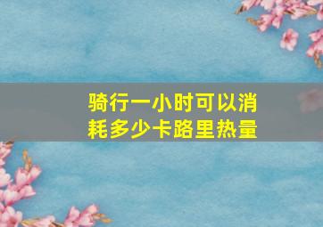 骑行一小时可以消耗多少卡路里热量