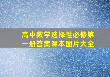 高中数学选择性必修第一册答案课本图片大全