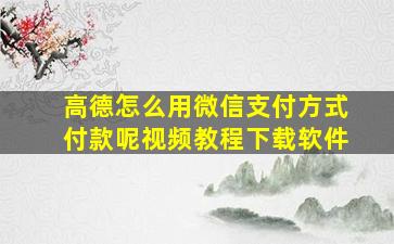 高德怎么用微信支付方式付款呢视频教程下载软件