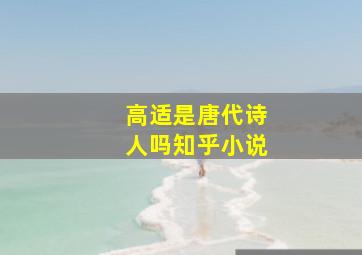 高适是唐代诗人吗知乎小说