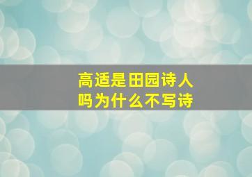 高适是田园诗人吗为什么不写诗