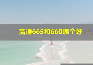 高通665和660哪个好