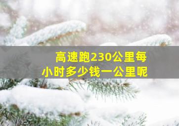 高速跑230公里每小时多少钱一公里呢