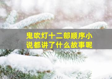 鬼吹灯十二部顺序小说都讲了什么故事呢