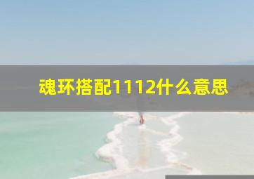 魂环搭配1112什么意思