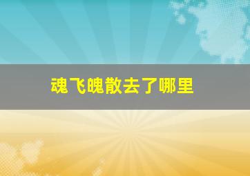 魂飞魄散去了哪里