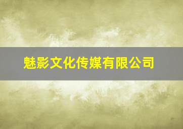 魅影文化传媒有限公司