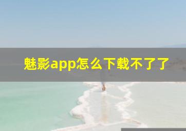 魅影app怎么下载不了了