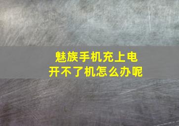 魅族手机充上电开不了机怎么办呢