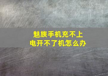 魅族手机充不上电开不了机怎么办